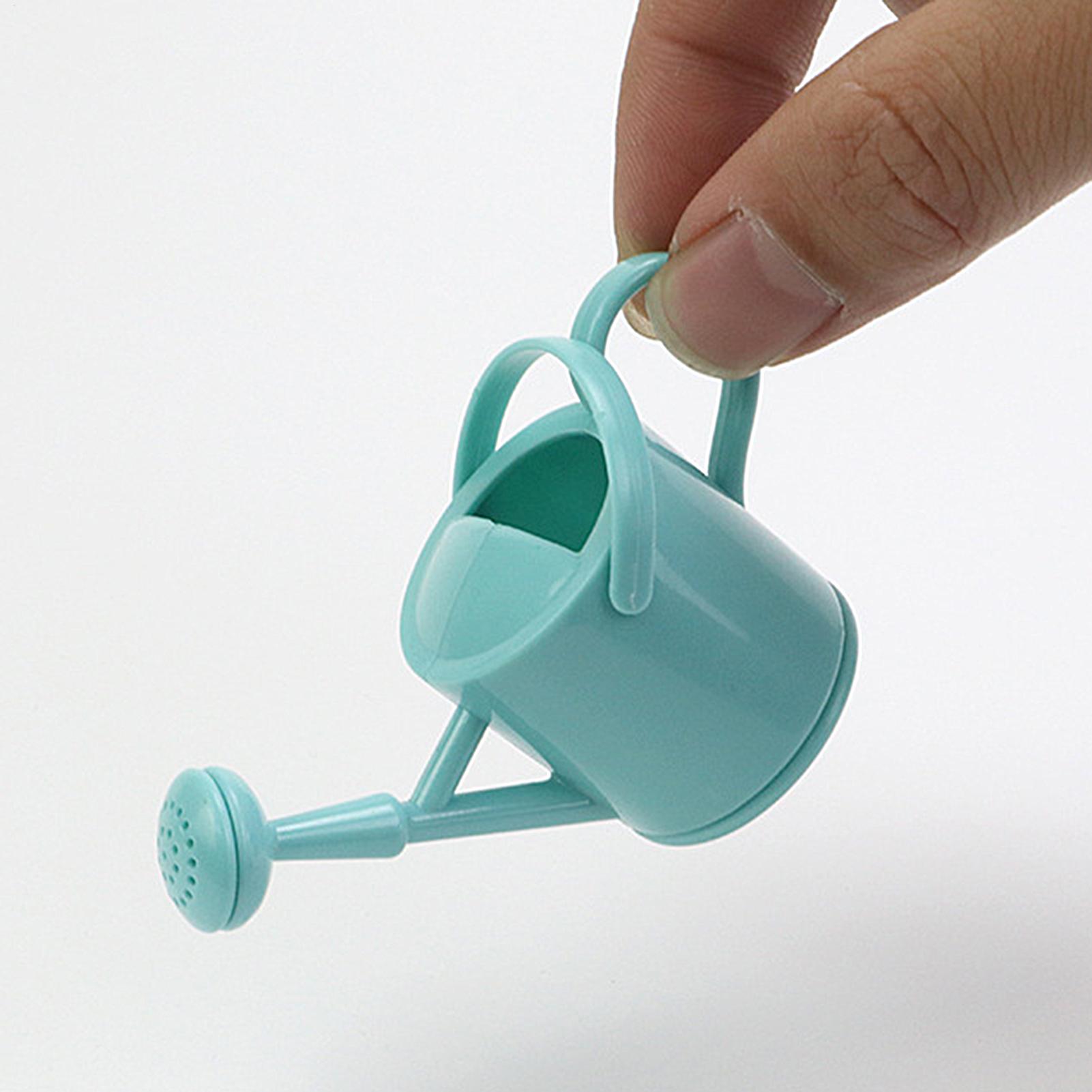 Echeveria Succulent - Small Kids Watering Can Flexible Watering