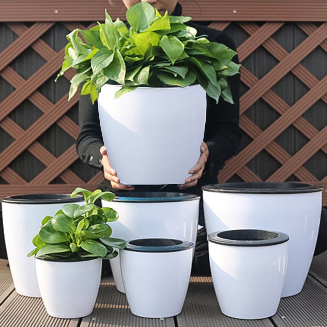 Aloe Vera Pot - Automatic Watering Flower Plants Pot Lazy