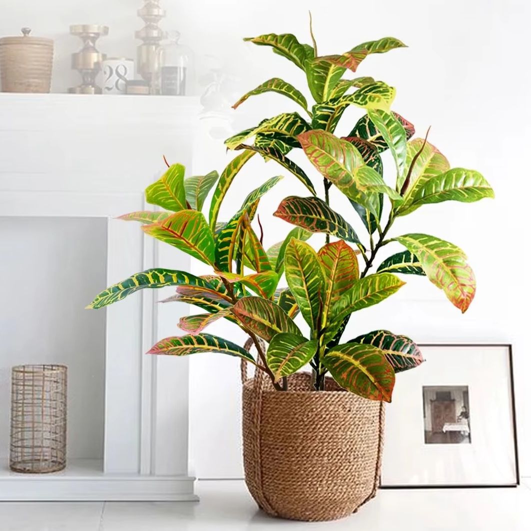 21-120cm Artificial Plant Fake - Dracaena Marginata ulasan dan harga
