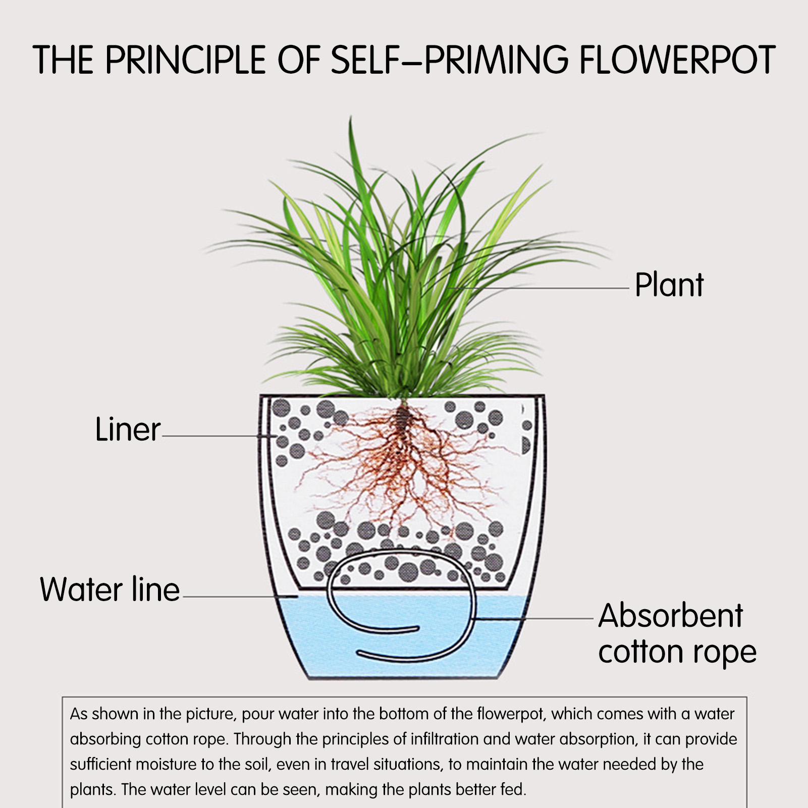 Automatic Self Watering Flower - Aloe Vera Pot ulasan dan harga