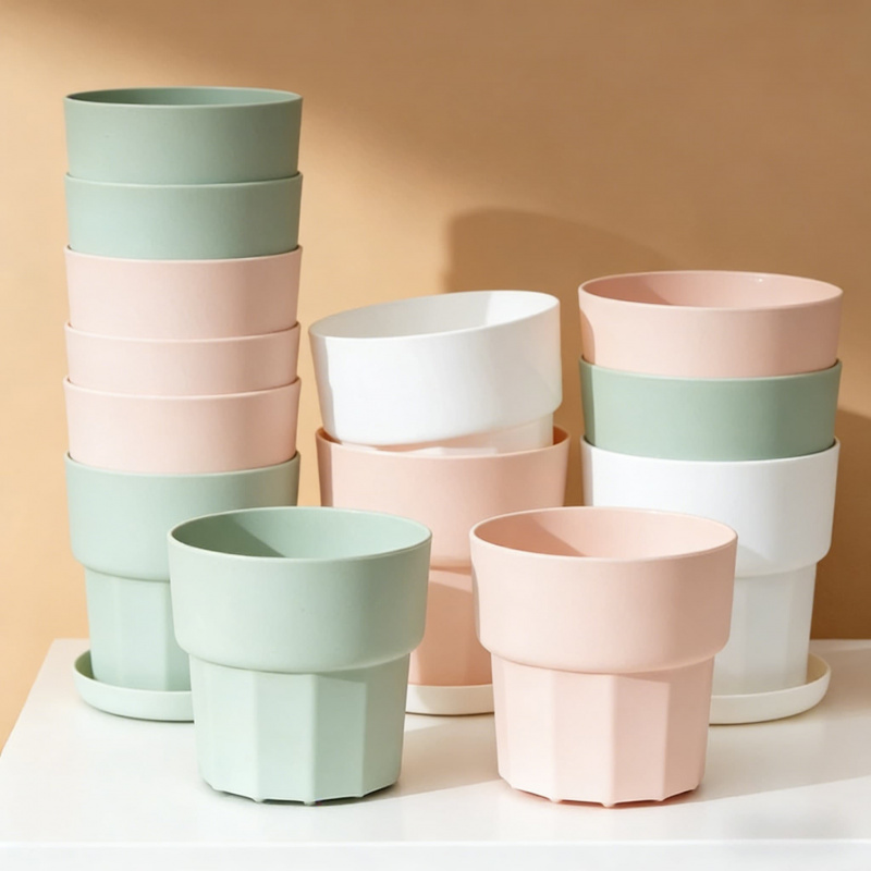 Thickened Shatterproof Plastic - Echeveria Succulent ulasan dan harga