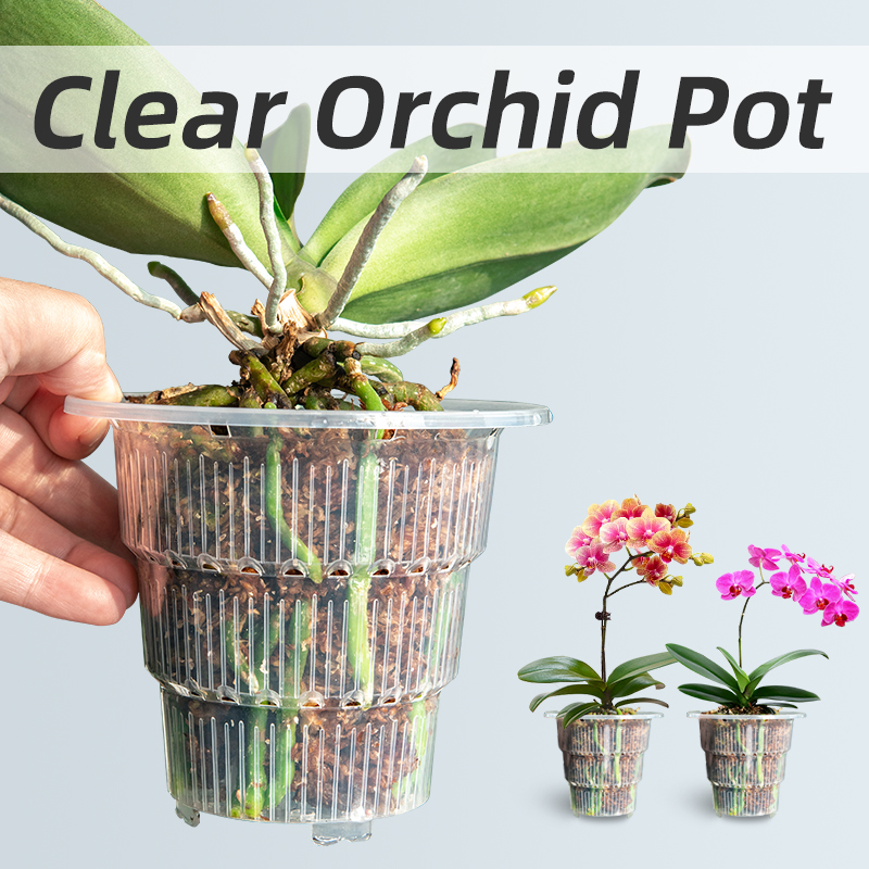Meshpot Clear Plastic Orchid P - Aloe Vera Pot ulasan dan harga