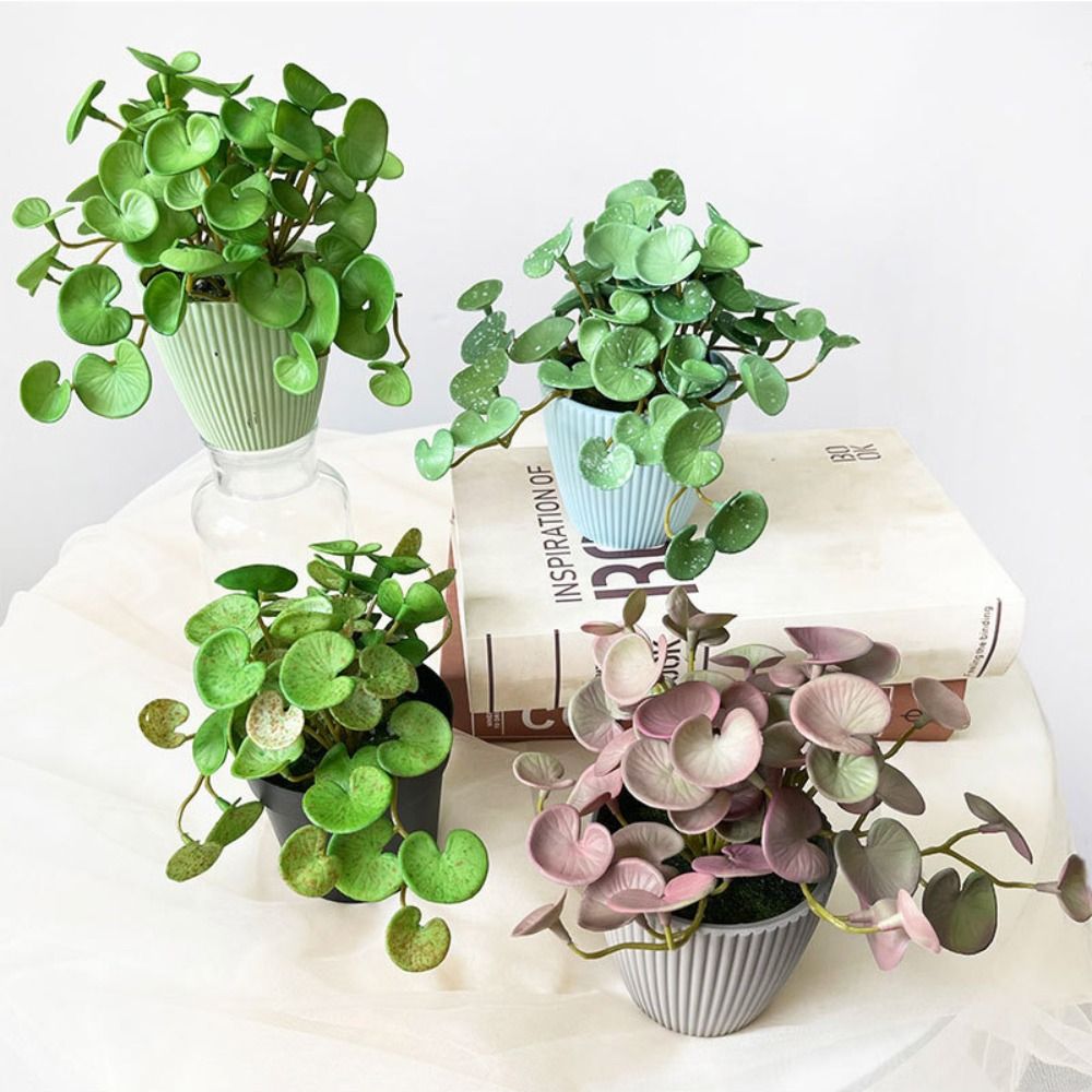 Soft Glue Artificial Plant EVA - Echeveria Succulent ulasan dan harga