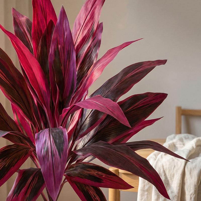 Large Artificial Dracaena Marg - Dracaena Marginata ulasan dan harga