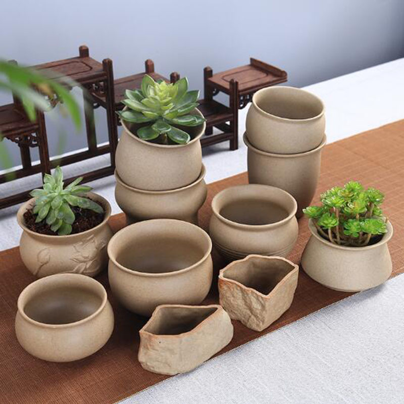 Retro Coarse Pottery Succulent - Echeveria Succulent ulasan dan harga
