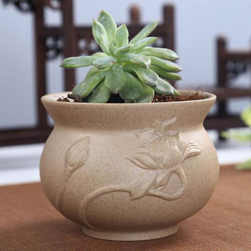 Retro Coarse Pottery Succulent - Echeveria Succulent ulasan dan harga