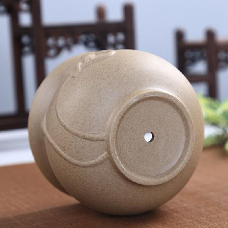 Retro Coarse Pottery Succulent - Echeveria Succulent ulasan dan harga