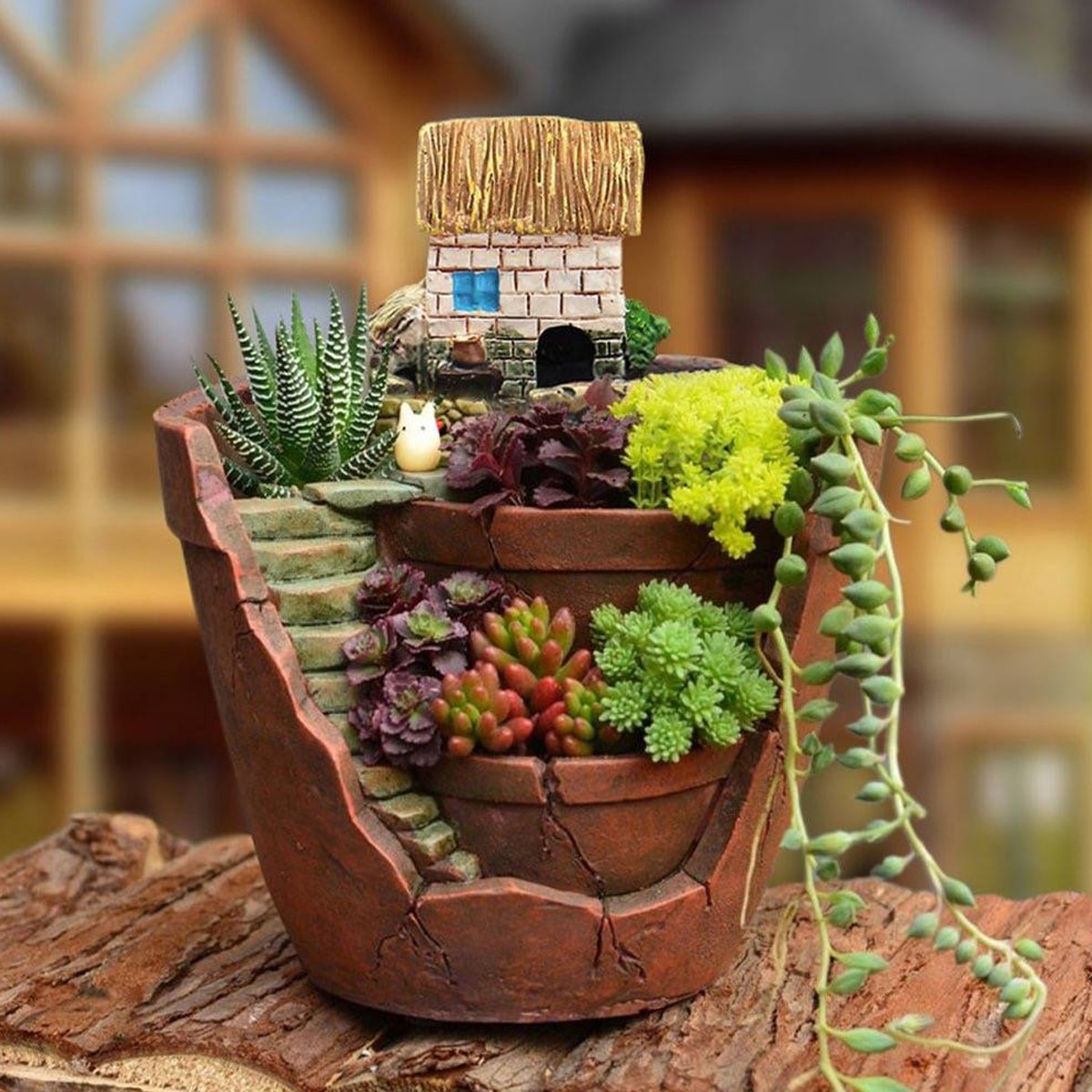 Nordic creative round succulen - Echeveria Succulent ulasan dan harga