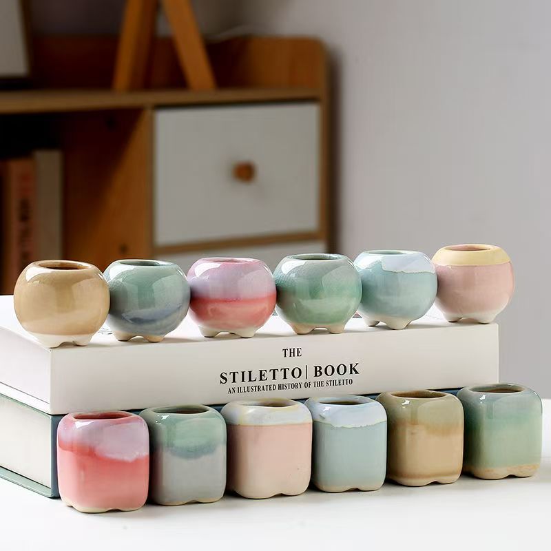6Pcs Mini Flowerpot Succulents - Echeveria Succulent ulasan dan harga