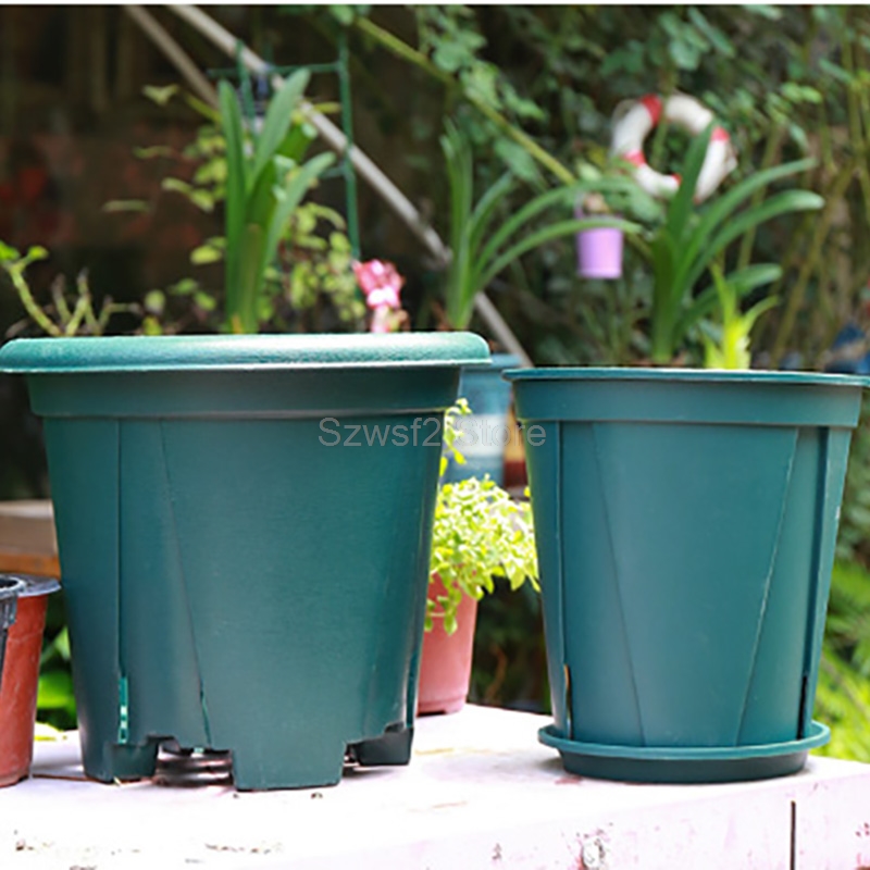 5/10pcs Green Plastic Plant Fl - Echeveria Succulent ulasan dan harga